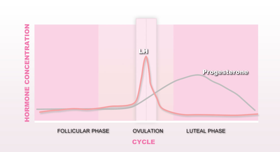 Low Progesterone levels